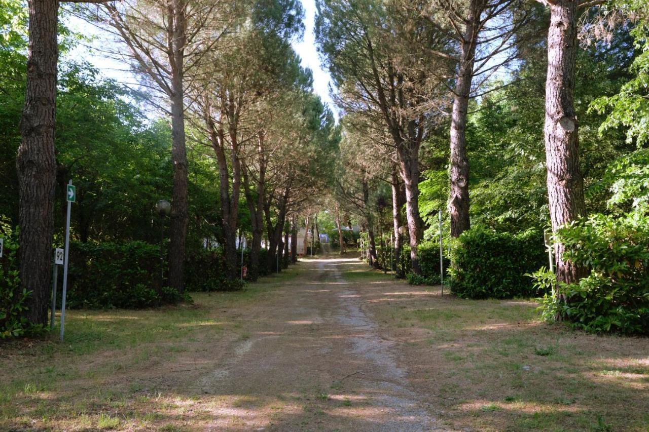 Camping La Chiocciola Hotel Capannole Kültér fotó
