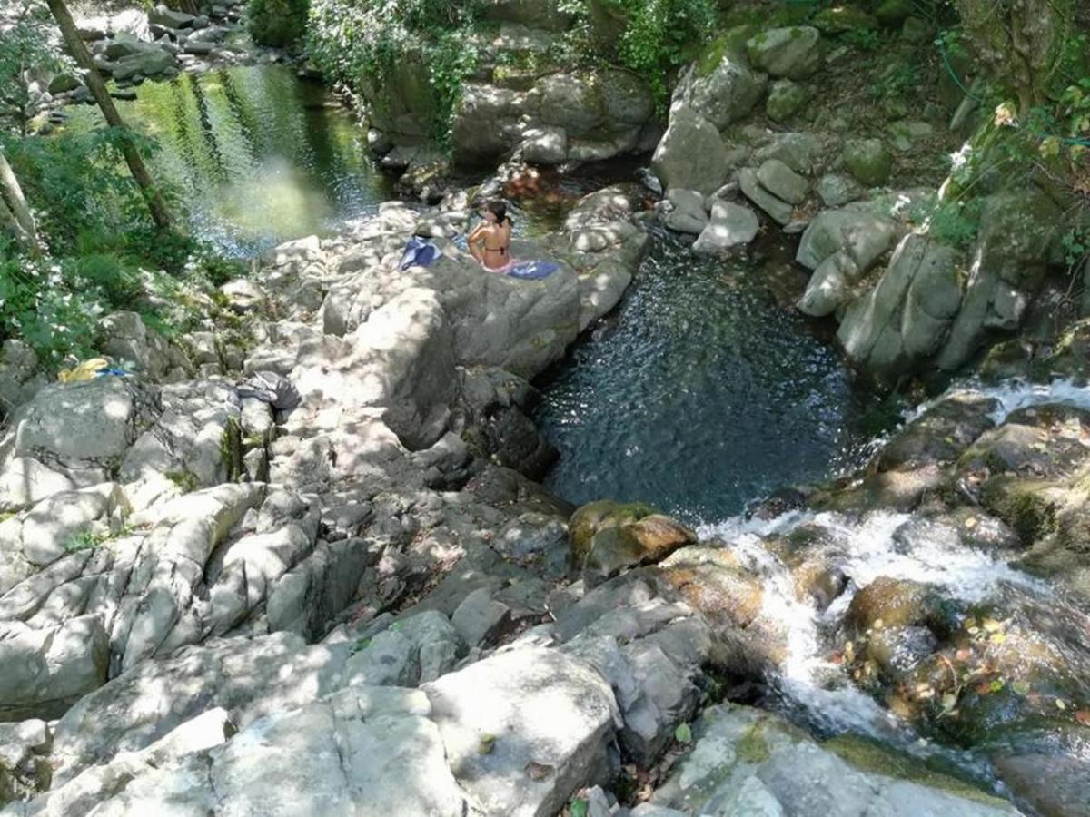 Camping La Chiocciola Hotel Capannole Kültér fotó